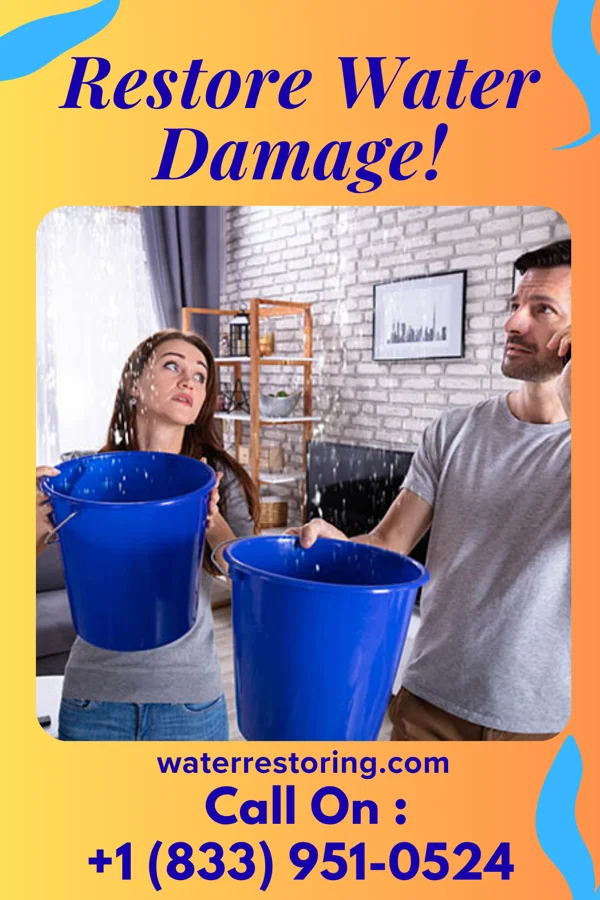 water restoration Rapid Extraction Partners Gadsden